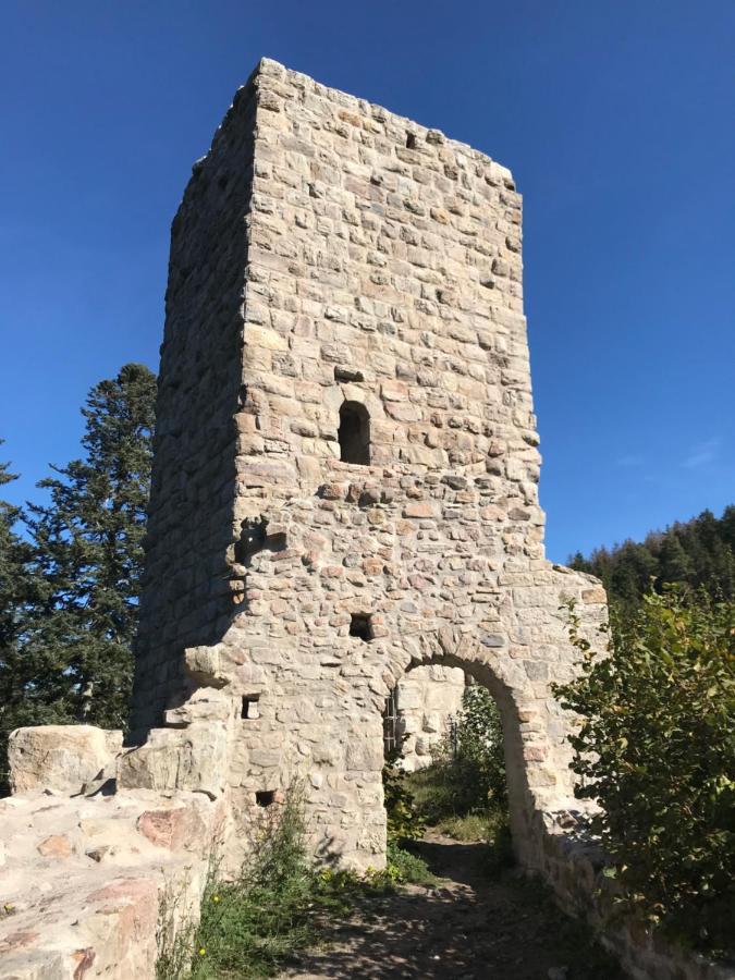 Landgasthof Alpenblick An Der Wutachschlucht Suedschwarzwald Löffingen Exterior foto