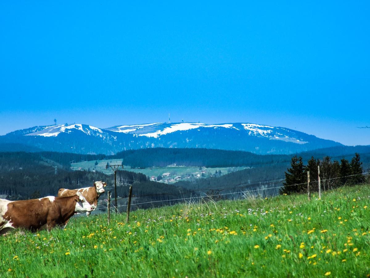 Landgasthof Alpenblick An Der Wutachschlucht Suedschwarzwald Löffingen Exterior foto